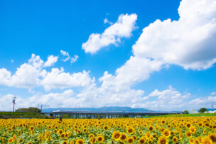 夏休み